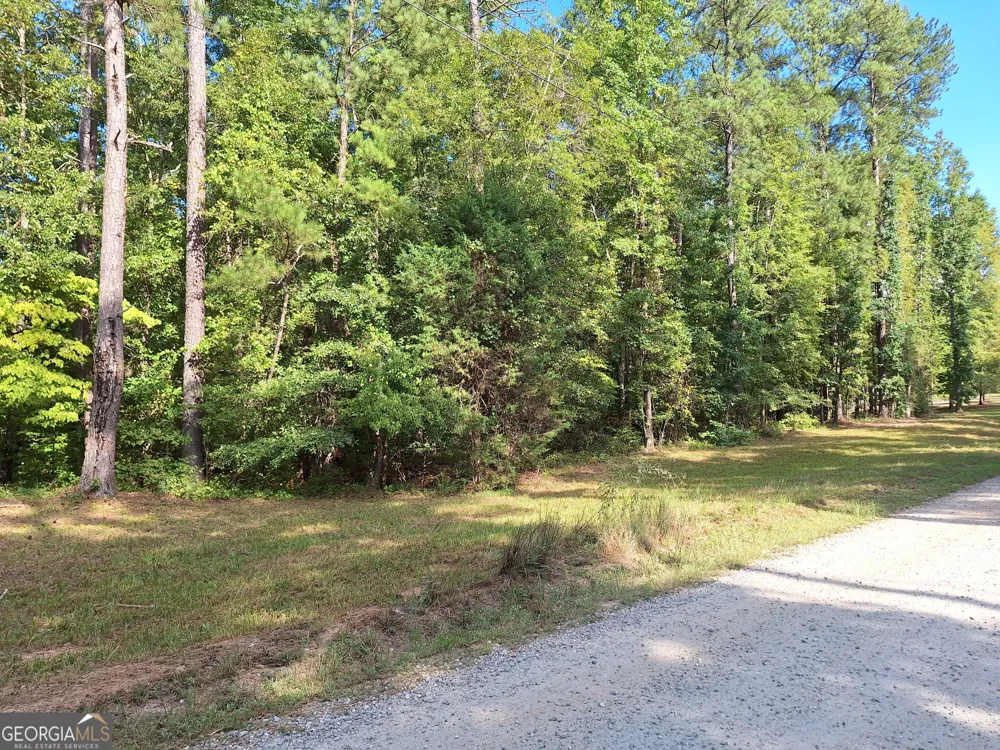 LOTS 48,49,50 Doe LN Mansfield, GA 30055