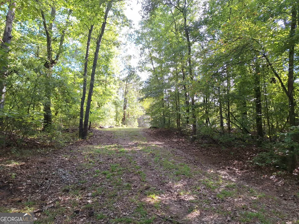 LOTS 48,49,50 Doe LN Mansfield, GA 30055