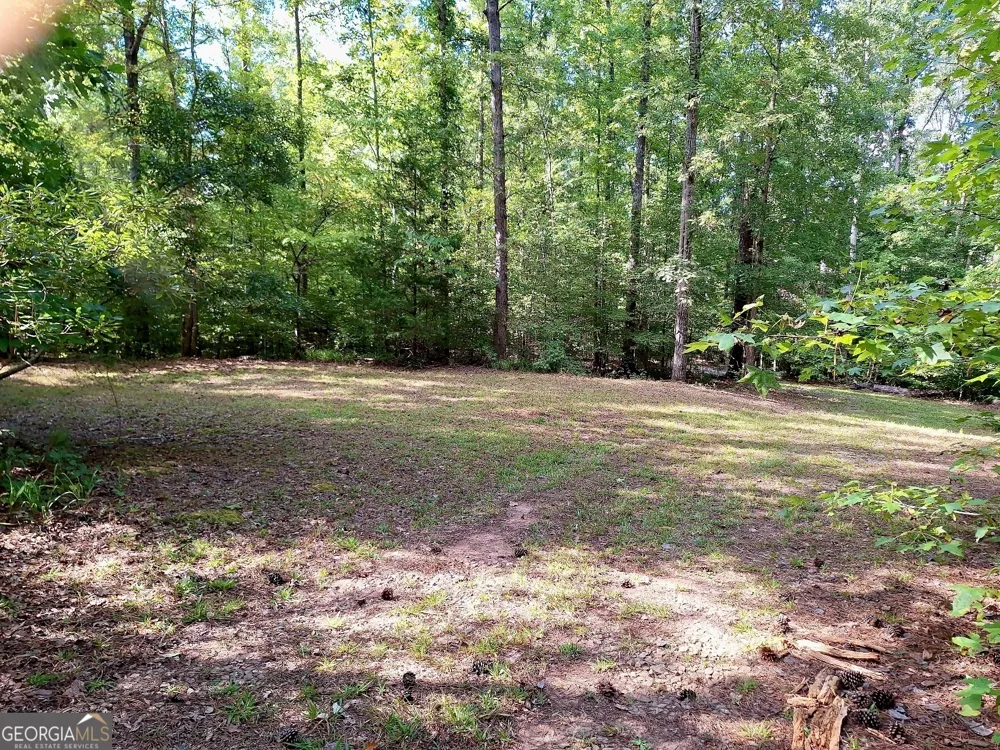LOTS 48,49,50 Doe LN Mansfield, GA 30055