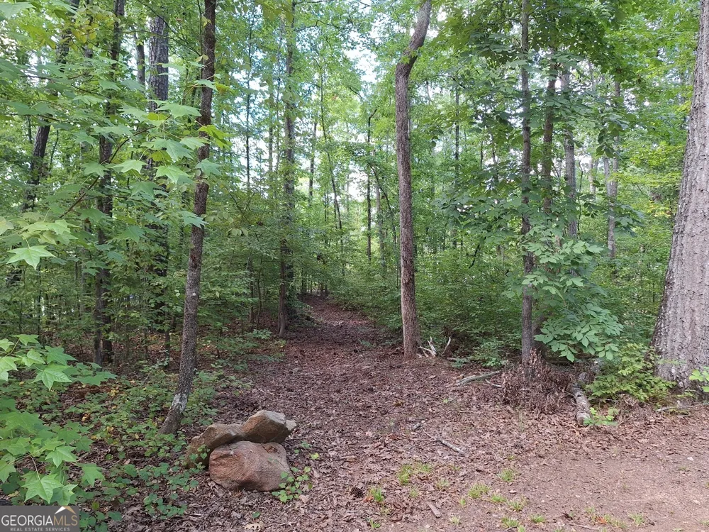 LOTS 48,49,50 Doe LN Mansfield, GA 30055
