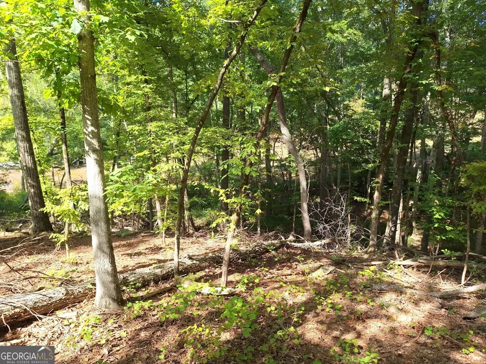 LOTS 48,49,50 Doe LN Mansfield, GA 30055