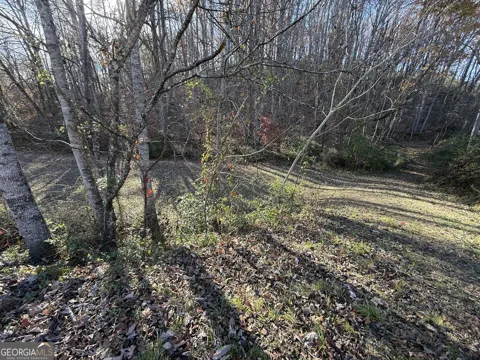 0 Duncan Bridge RD