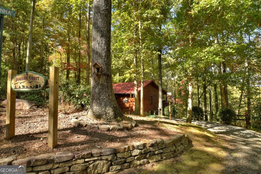 9 Joanna CT Cherry Log, GA 30522