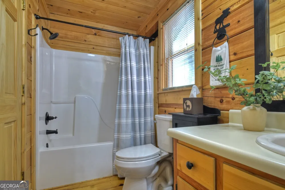 9 Joanna CT Cherry Log, GA 30522