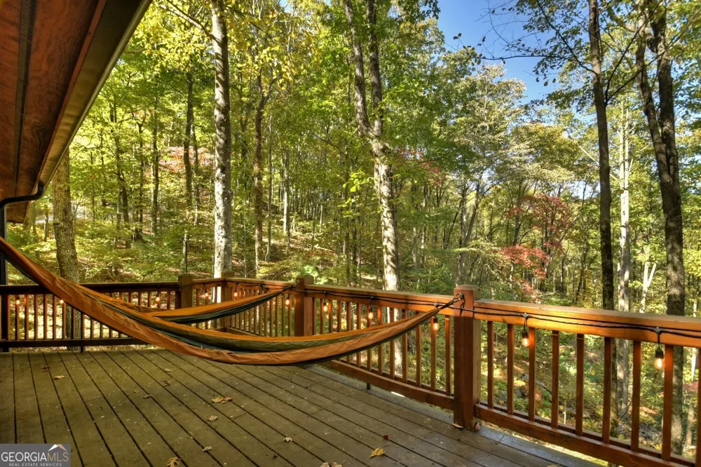 9 Joanna CT Cherry Log, GA 30522