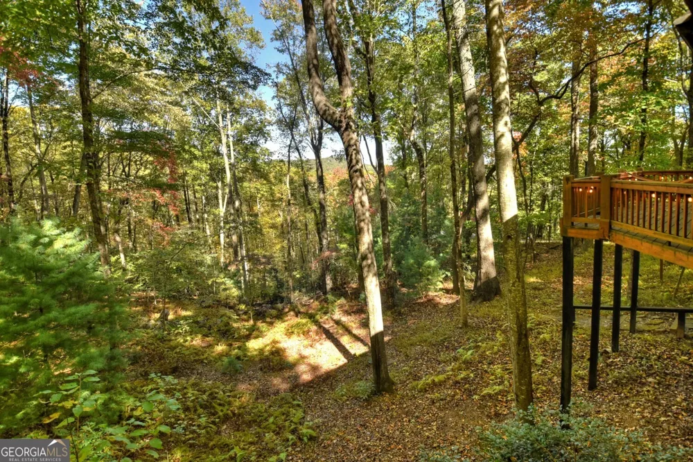 9 Joanna CT Cherry Log, GA 30522
