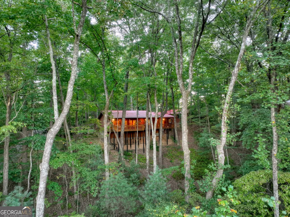 9 Joanna CT Cherry Log, GA 30522