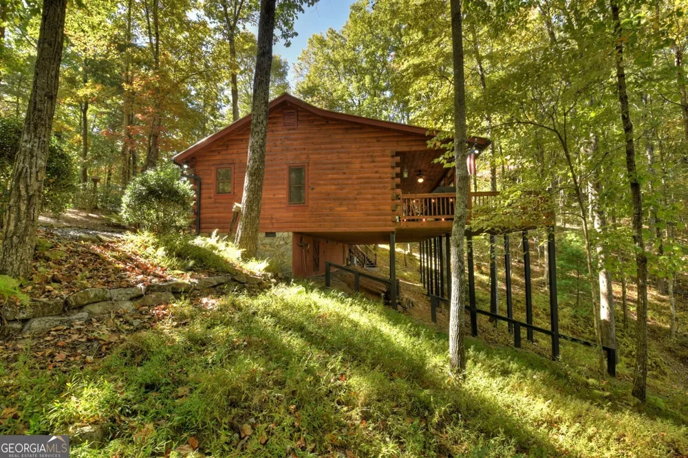 9 Joanna CT Cherry Log, GA 30522