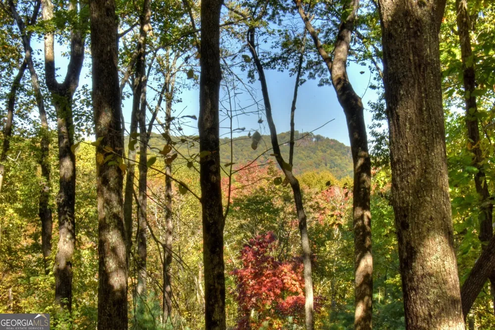 9 Joanna CT Cherry Log, GA 30522