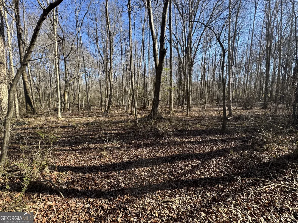 4100 Monroe HWY Bogart, GA 30622