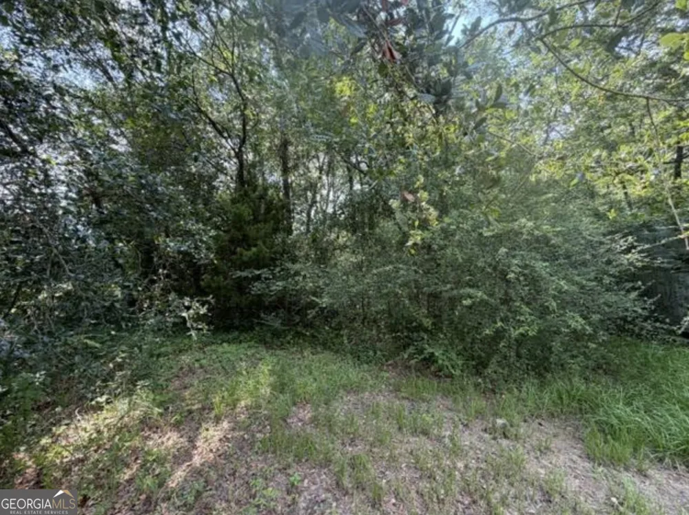 0 Milton AVE Savannah, GA 31405