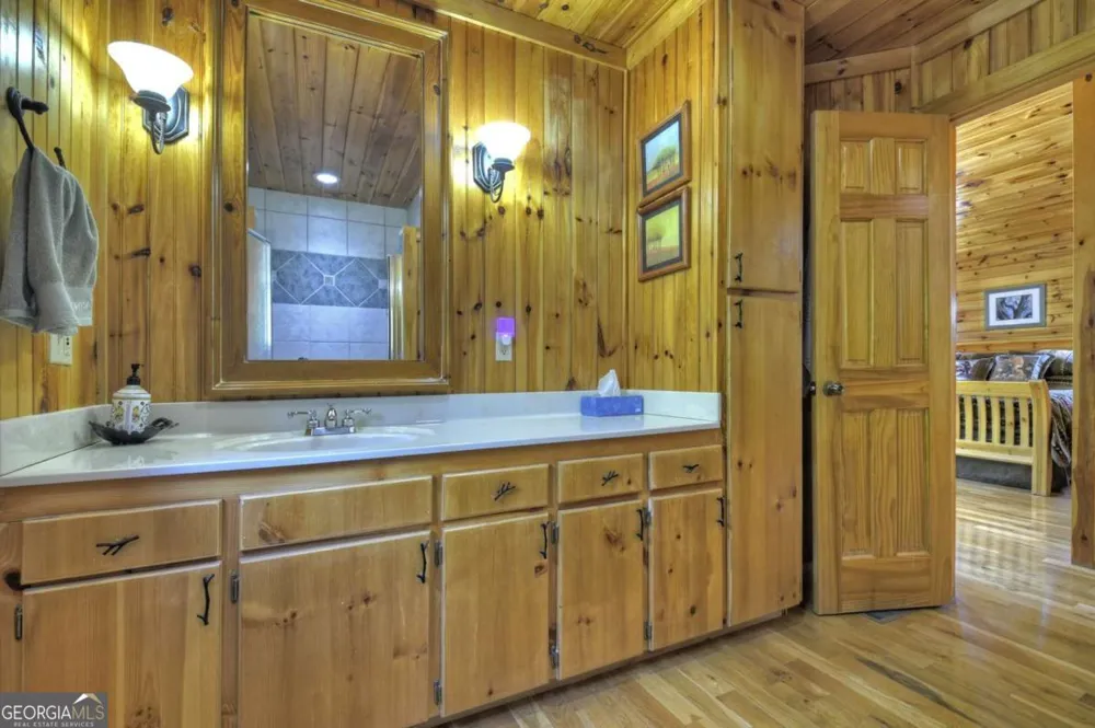 256 Bailey Farm LN Mineral Bluff, GA 30559