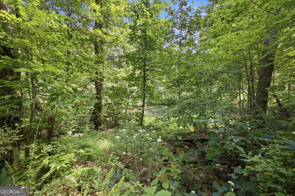 596 Riverhaven LN Menlo, GA 30731