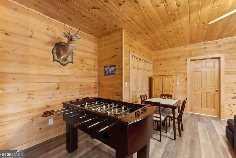 437 Spruce CIR Mineral Bluff, GA 30559