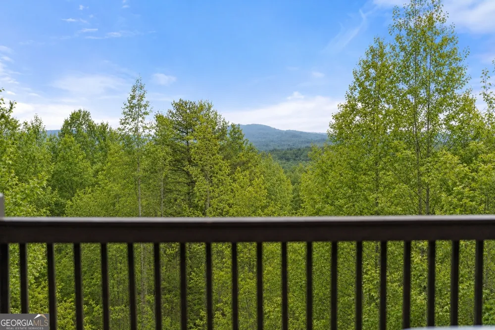437 Spruce CIR Mineral Bluff, GA 30559