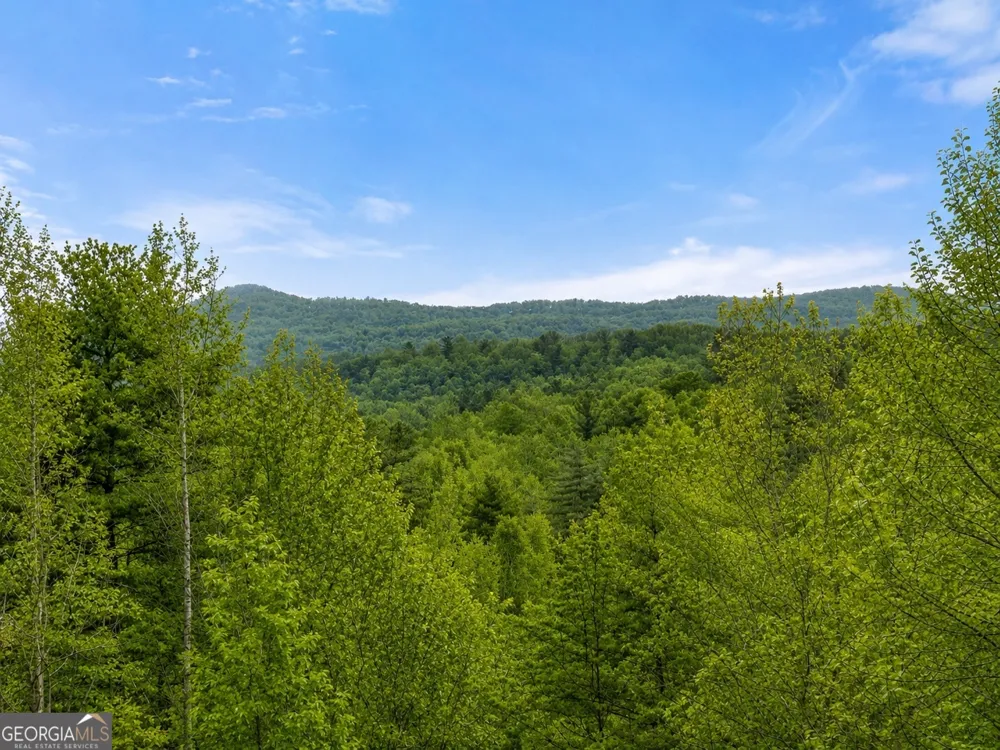 437 Spruce CIR Mineral Bluff, GA 30559