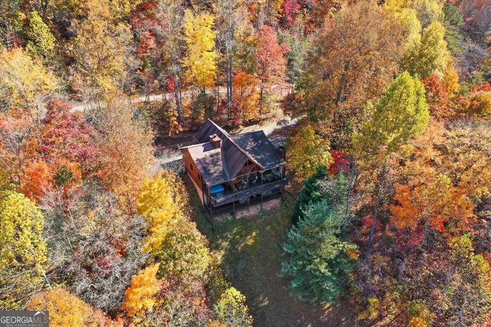 437 Spruce CIR Mineral Bluff, GA 30559