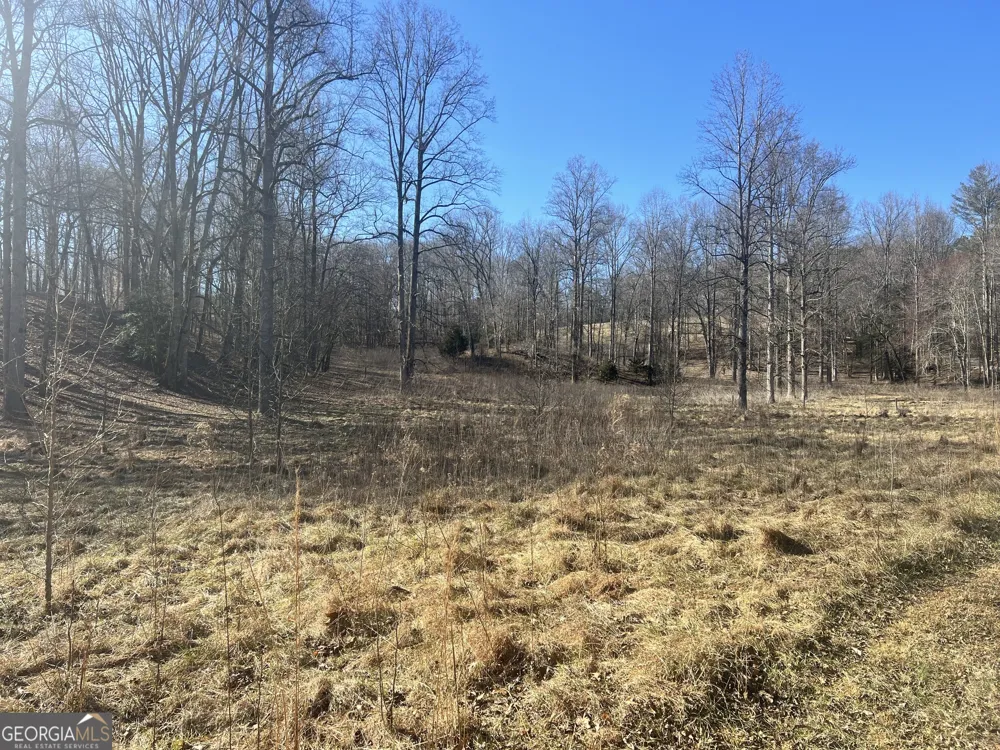 0 Old H K Wagon RD Cleveland, GA 30528