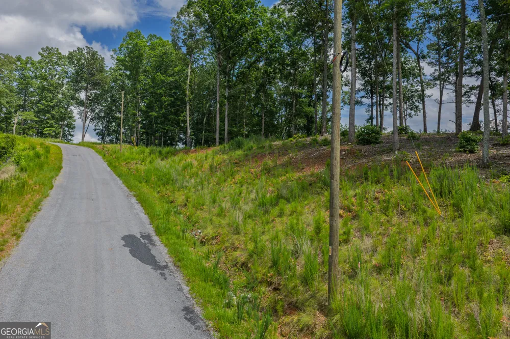 LOT 296 Pebble TRCE Talking Rock, GA 30175