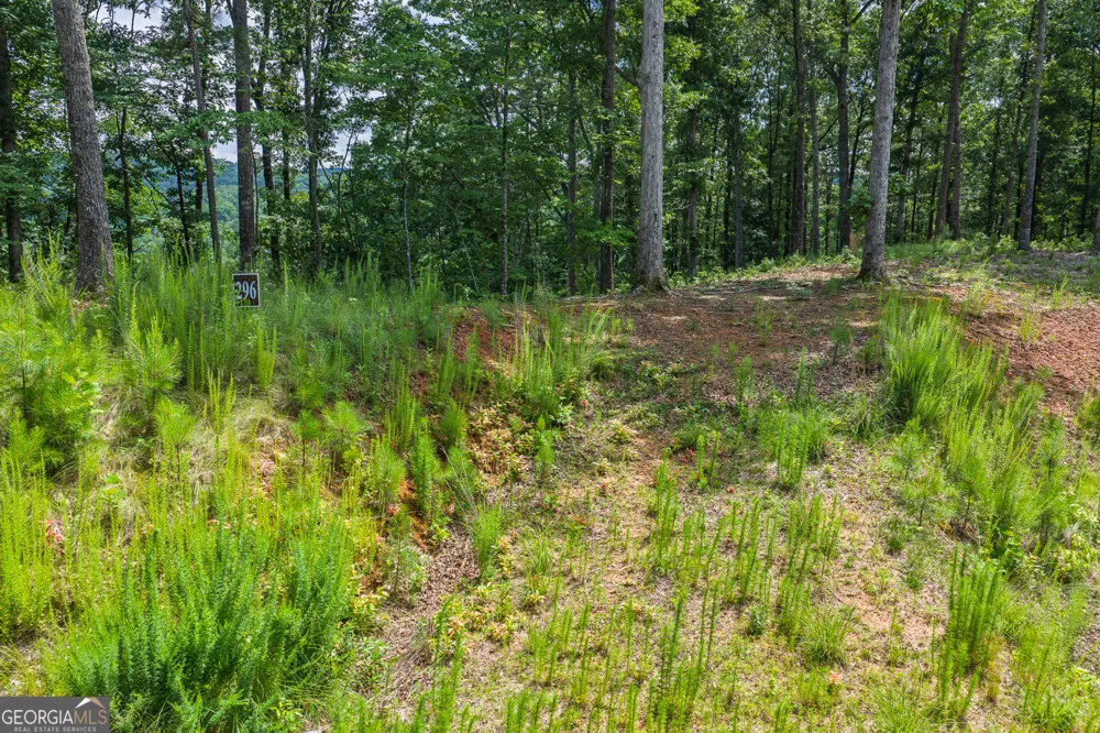 LOT 296 Pebble TRCE Talking Rock, GA 30175