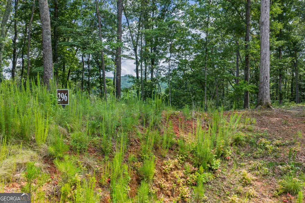 LOT 296 Pebble TRCE Talking Rock, GA 30175