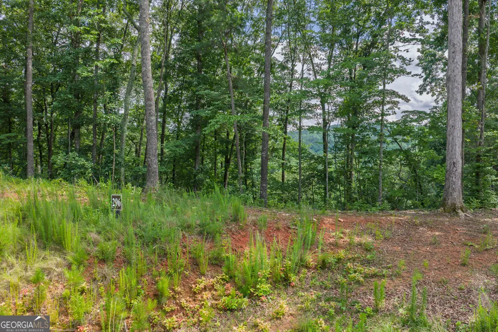 LOT 296 Pebble TRCE Talking Rock, GA 30175