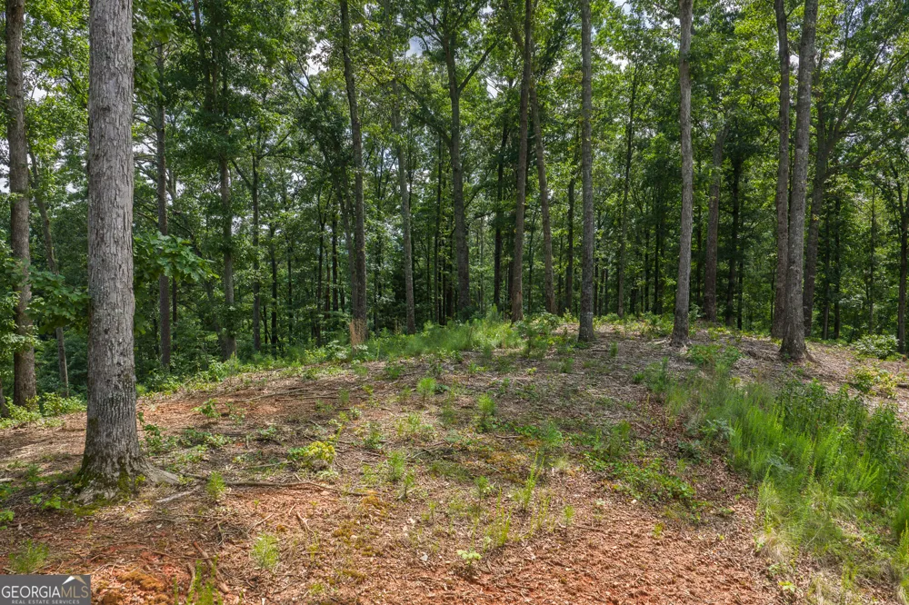LOT 296 Pebble TRCE Talking Rock, GA 30175