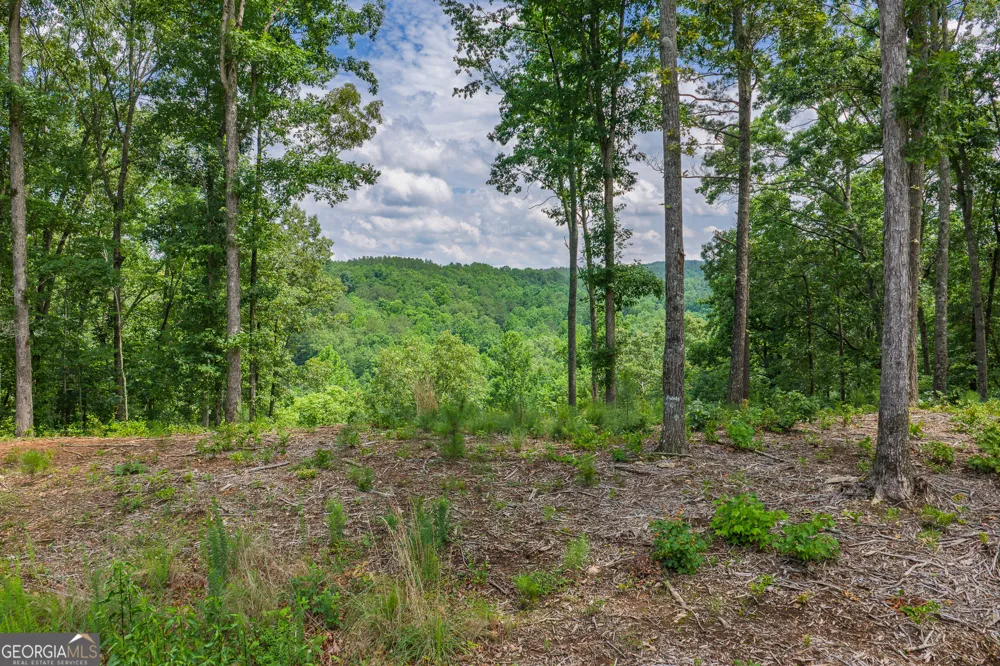 LOT 296 Pebble TRCE Talking Rock, GA 30175