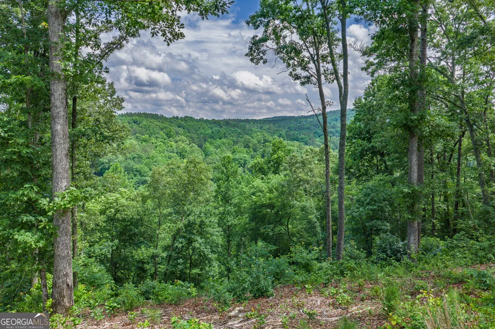 LOT 296 Pebble TRCE Talking Rock, GA 30175