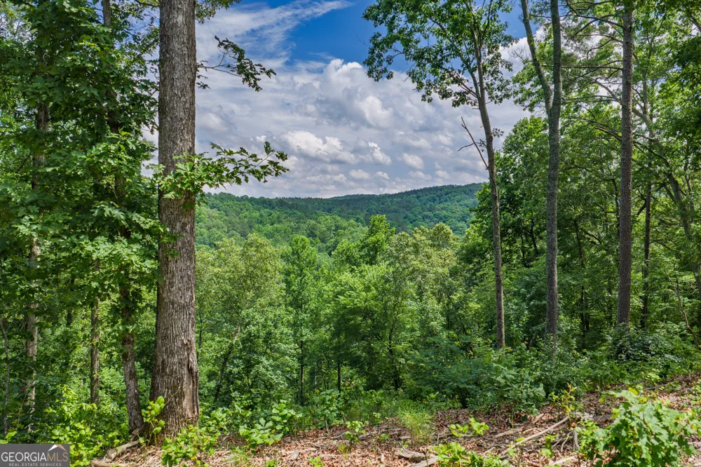 LOT 296 Pebble TRCE Talking Rock, GA 30175