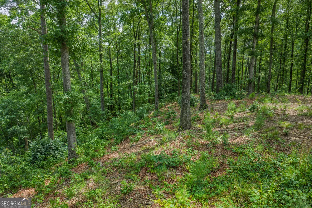 LOT 296 Pebble TRCE Talking Rock, GA 30175