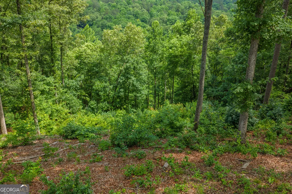 LOT 296 Pebble TRCE Talking Rock, GA 30175