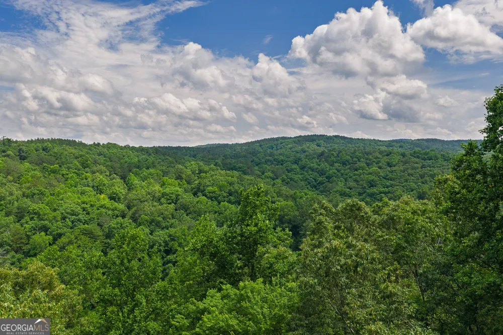 LOT 296 Pebble TRCE Talking Rock, GA 30175