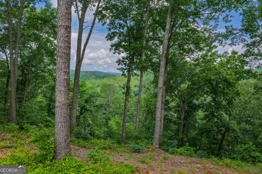 LOT 295A Pebble TRCE Talking Rock, GA 30175