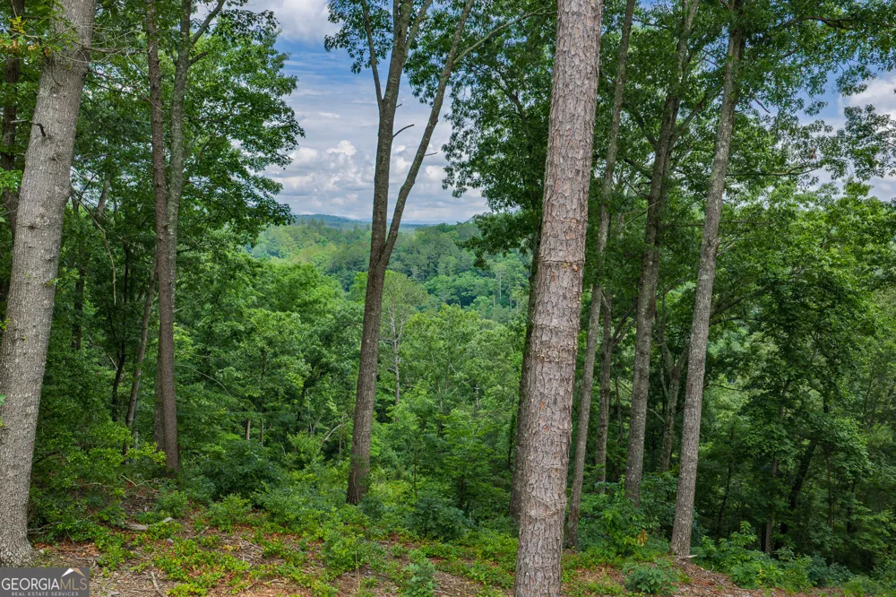 LOT 295A Pebble TRCE Talking Rock, GA 30175