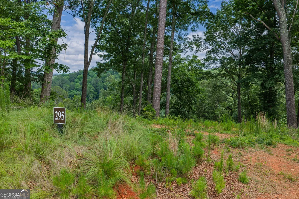 LOT 295A Pebble TRCE Talking Rock, GA 30175