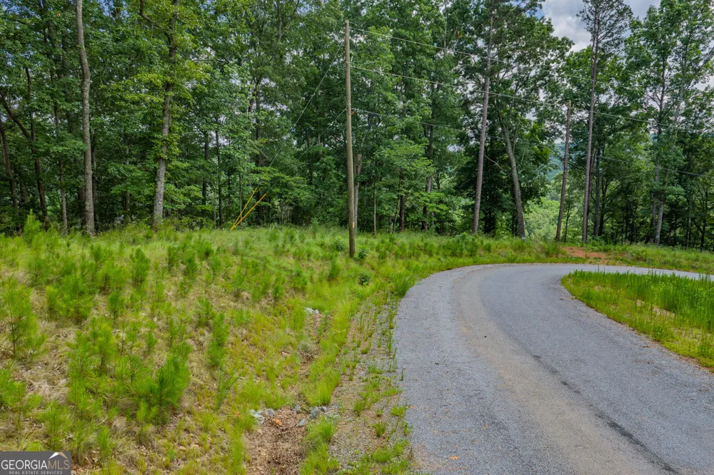 LOT 295A Pebble TRCE Talking Rock, GA 30175