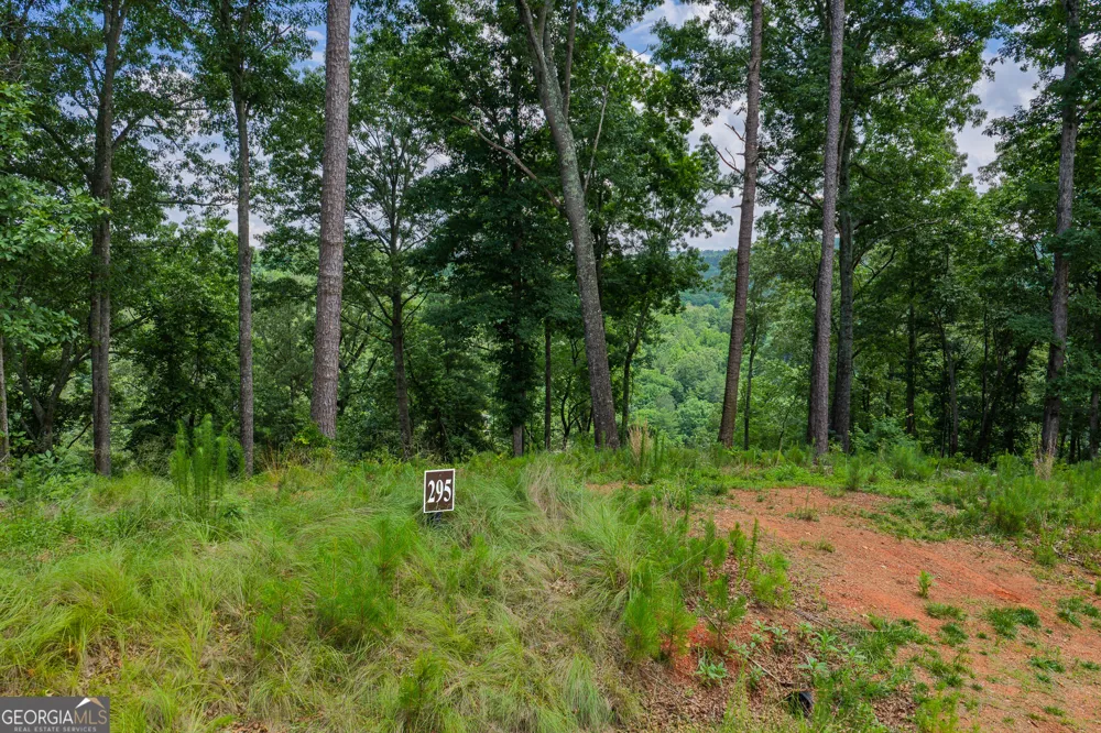 LOT 295A Pebble TRCE Talking Rock, GA 30175