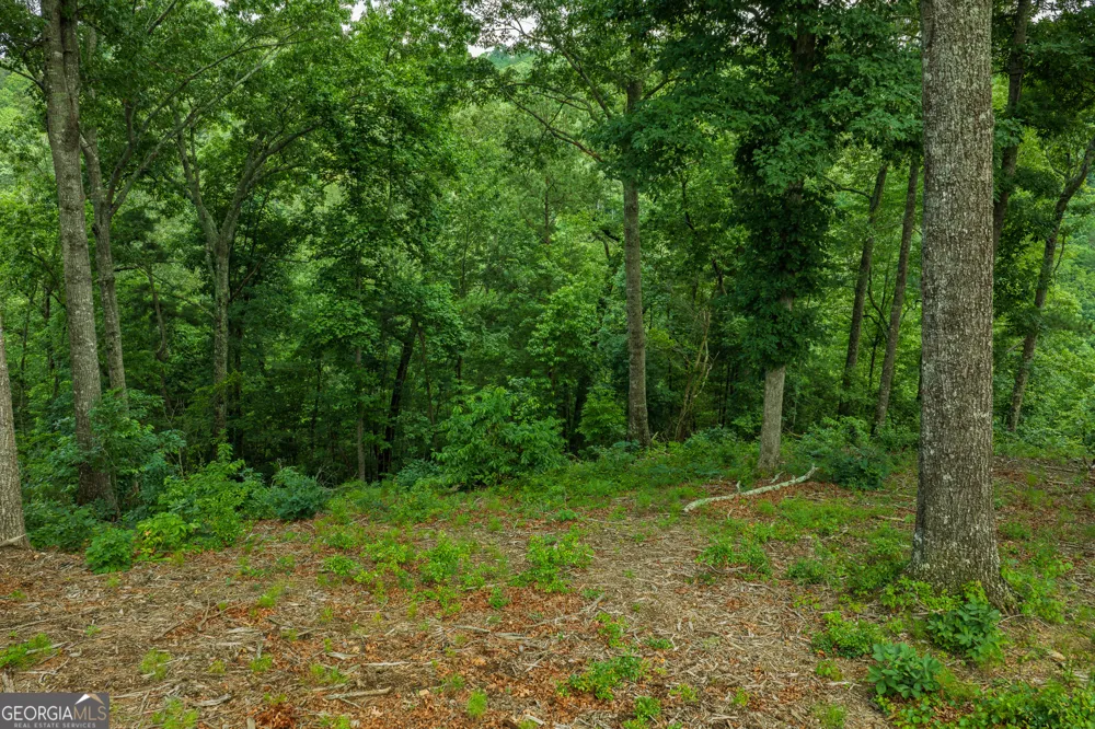 LOT 295A Pebble TRCE Talking Rock, GA 30175