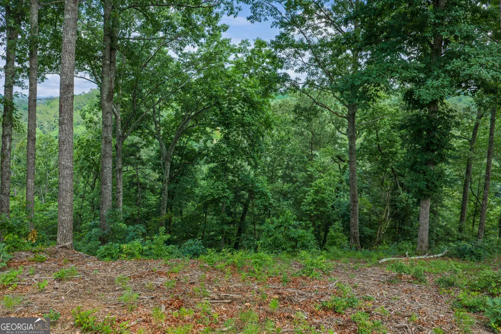 LOT 295A Pebble TRCE Talking Rock, GA 30175