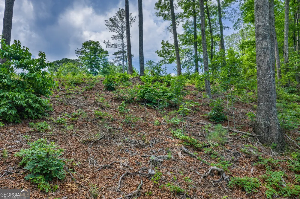 LOT 295A Pebble TRCE Talking Rock, GA 30175