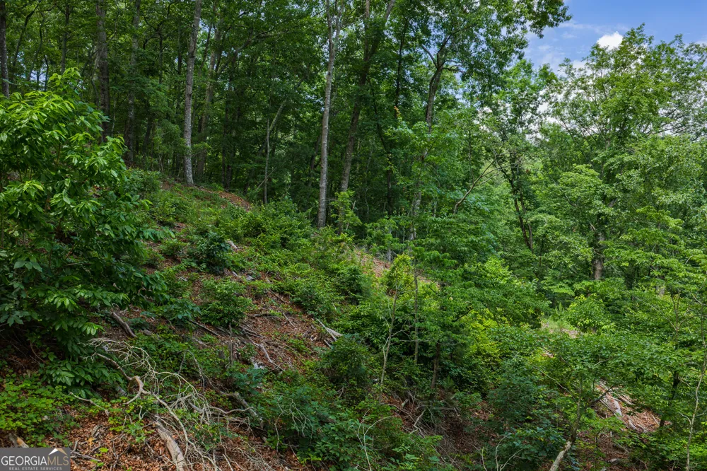 LOT 295A Pebble TRCE Talking Rock, GA 30175