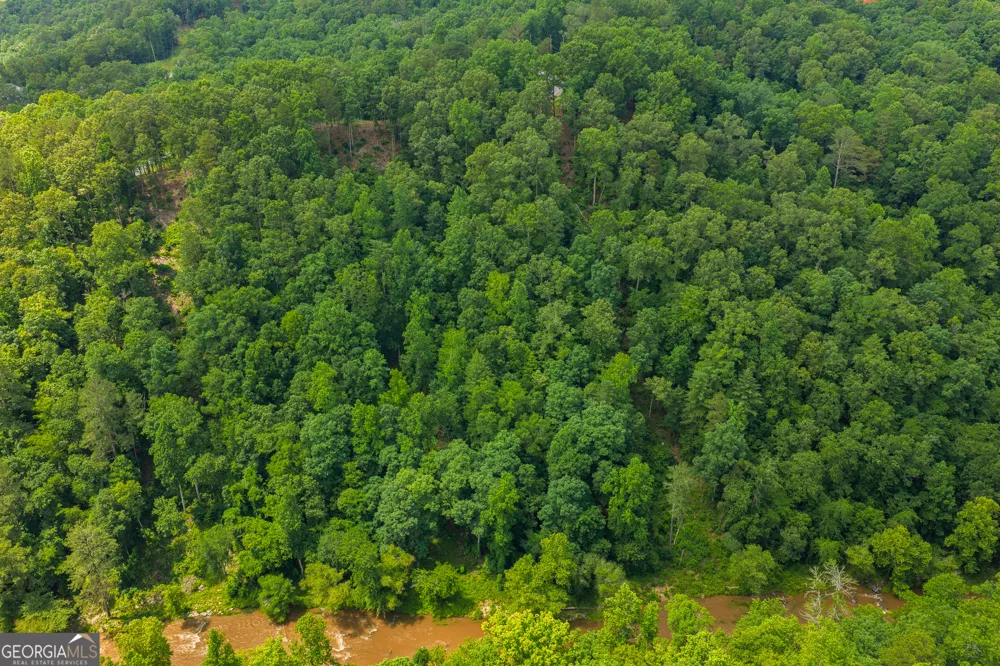 LOT 295A Pebble TRCE Talking Rock, GA 30175