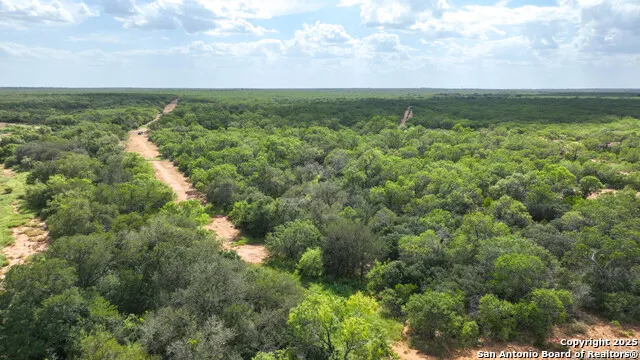 6451 Bluntzer Jourdanton, TX 78026