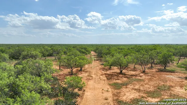 6451 Bluntzer Jourdanton, TX 78026