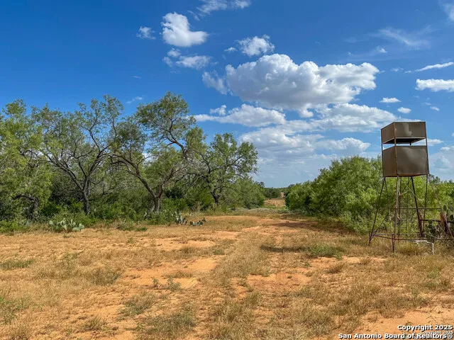 6451 Bluntzer Jourdanton, TX 78026