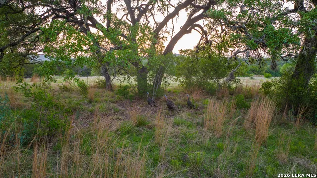 2991 Fm 470 Bandera, TX 78003