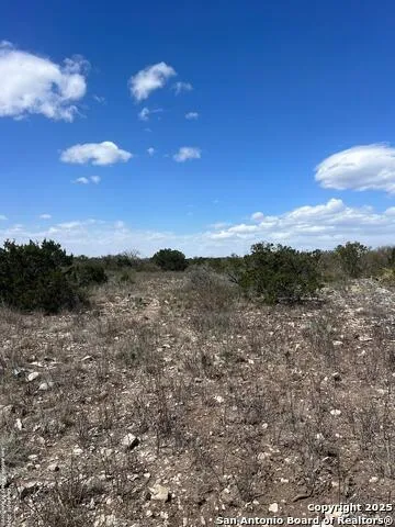 LOT 41-L & 42-L New Leona Ranch Brackettville, TX 78832