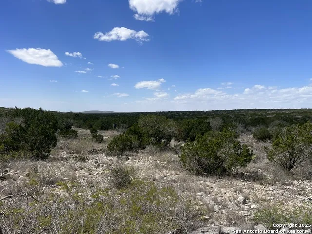 LOT 41-L & 42-L New Leona Ranch Brackettville, TX 78832