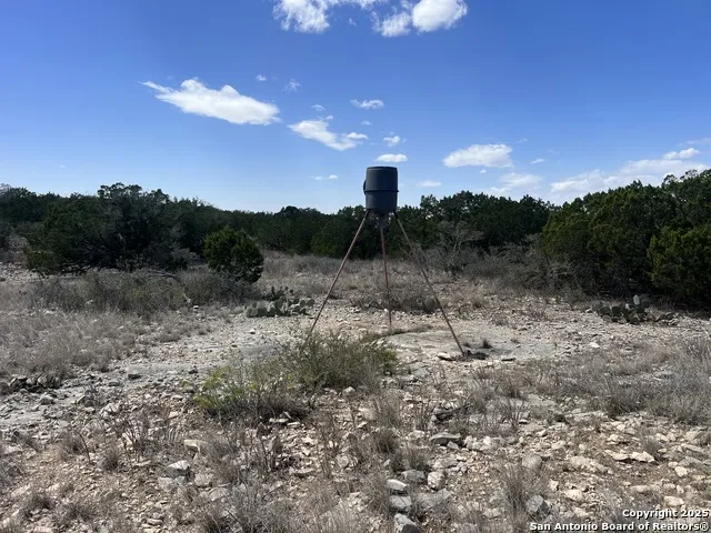 LOT 41-L & 42-L New Leona Ranch Brackettville, TX 78832